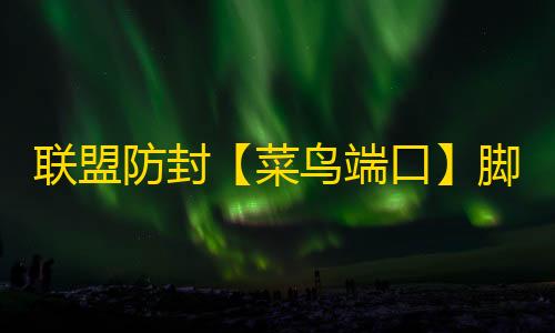 联盟防封【菜鸟端口】脚本